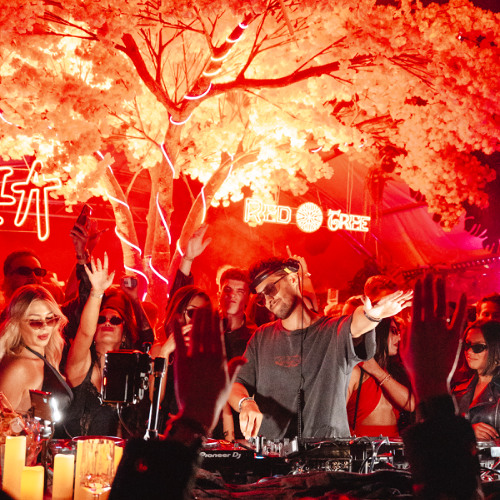 Red Tree, Frankfurt - cover